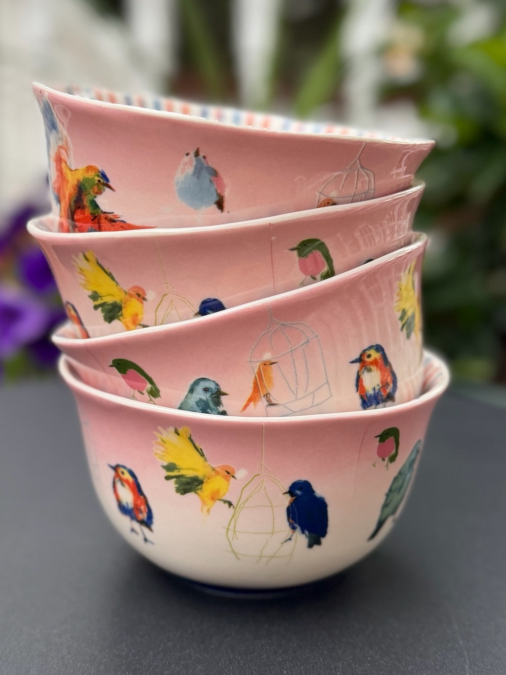 Anthropologie Artist Raven Roxanne Set of 4 Bird Bowls Cereal Anthrohome New